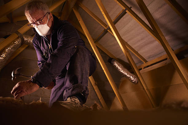 Best Specialized Insulation Services in Wilder, KY